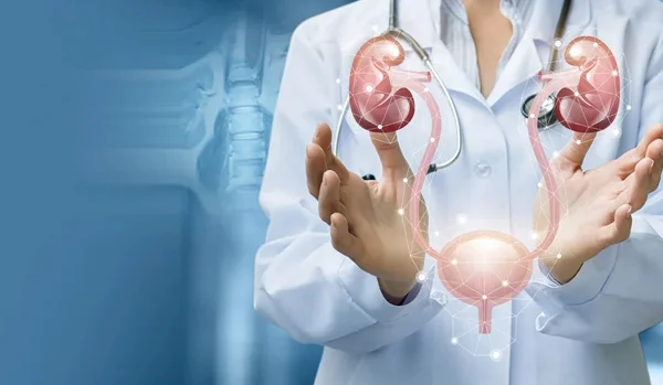 UROLOGY, ANDROLOGY & RENAL TRANSPLANTATION